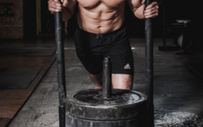 Quelle est la fonction des acides amines dans la musculation ?
