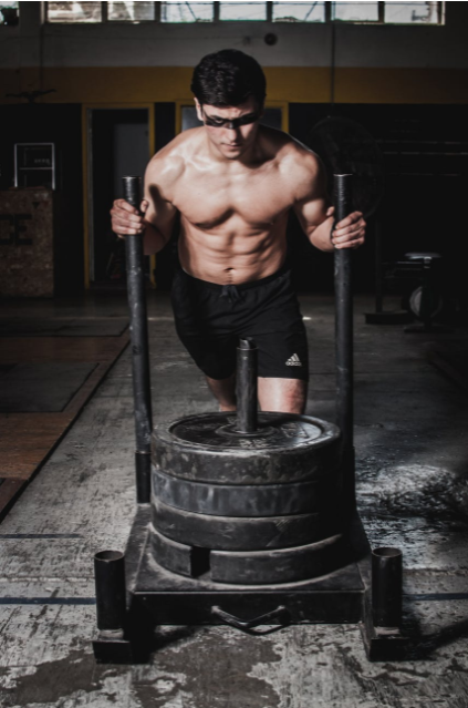 Quelle est la fonction des acides amines dans la musculation ?